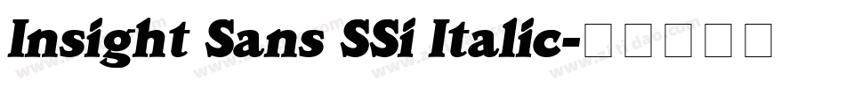 Insight Sans SSi Italic字体转换